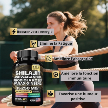 Shilajit – Force & Énergie Naturelle 🇬🇳
