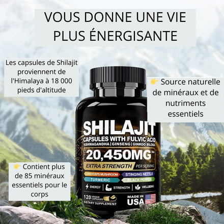 Shilajit – Force & Énergie Naturelle 🇬🇳