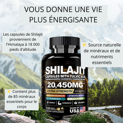 Shilajit – Force & Énergie Naturelle 🇬🇳
